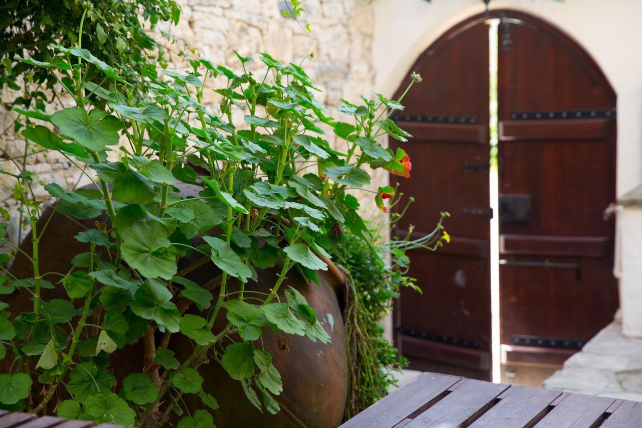 DhorosThe Old Olive Mill House By Trulycyprus别墅 外观 照片