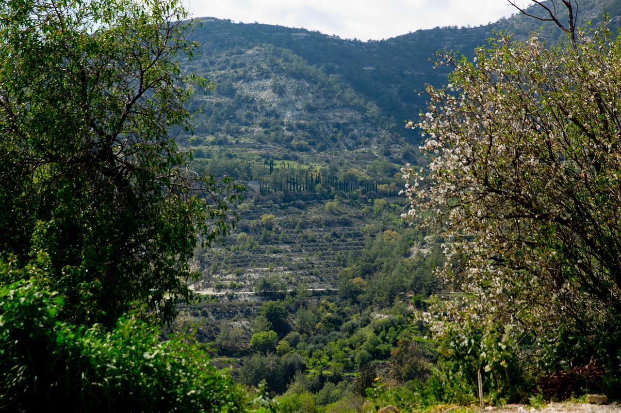 DhorosThe Old Olive Mill House By Trulycyprus别墅 外观 照片