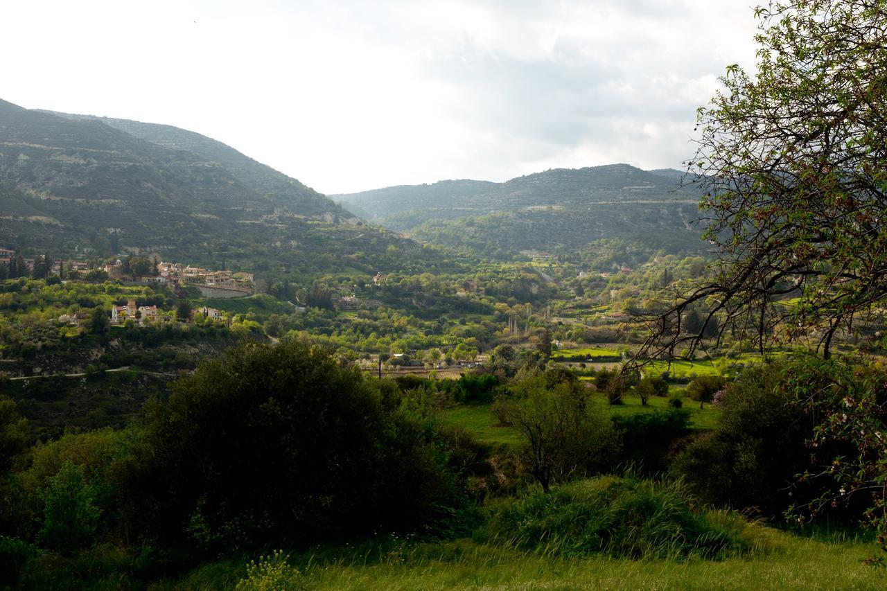 DhorosThe Old Olive Mill House By Trulycyprus别墅 外观 照片